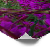 Bergen | Rocky Mountains, Colorado Poster (Hoek)