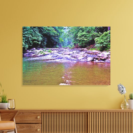 Bergen Sunlight Trees Creek Foto Canvas Afdruk (Insitu (Woonkamer))