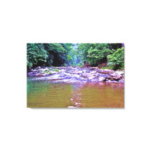  Bergen Sunlight Trees Creek Foto