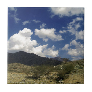 Bergen Tegeltje