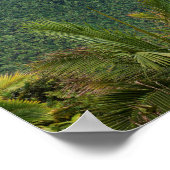 bergen van luquillo over de kust van puerto - rico poster (Hoek)