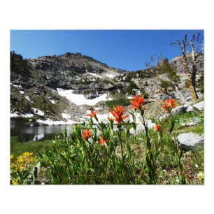 Bergen, Wildbloemen, Fotolak 20 x 16 inch Foto Afdruk