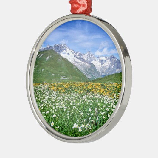 Bergen | Zwitserse vallei Metalen Ornament (Links)