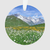 Bergen | Zwitserse vallei Ornament (voorkant)