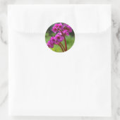 Bergenia Flower Stickers (Tas)