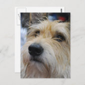 Berger Picard Briefkaart (Voorkant / Achterkant)