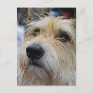 Berger Picard Briefkaart