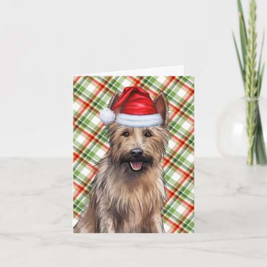 Berger Picard Christmas Dog Holiday Plaid Feestdagen Kaart (Voorkant)
