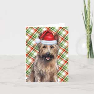 Berger Picard Christmas Dog Holiday Plaid Feestdagen Kaart