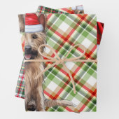 Berger Picard Christmas Dog Holiday Plaid Inpakpapier Vel (In situ)
