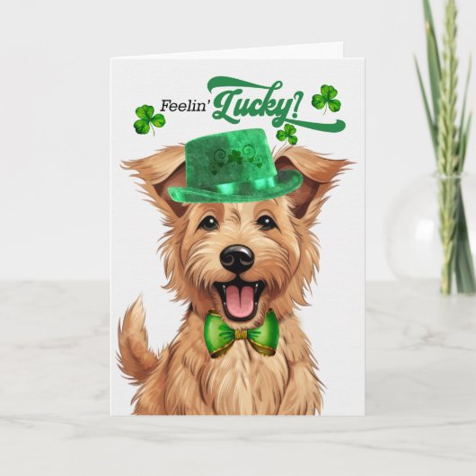 Berger Picard Dog Lucky St Patrick's Day Feestdagen Kaart (Voorkant)