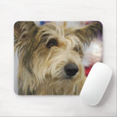 Berger Picard Dog Muismat (Met muis)