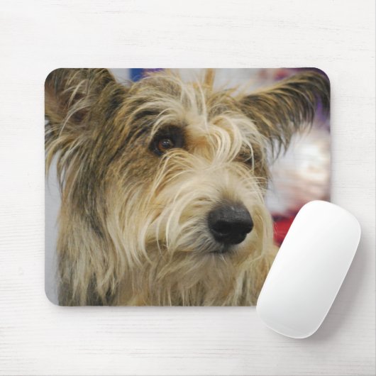 Berger Picard Dog Muismat (Met muis)