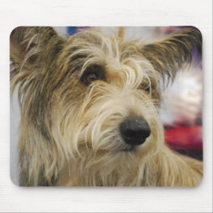 Berger Picard Dog Muismat