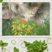 Berger Picard Dog Theedoek (Gevouwen)