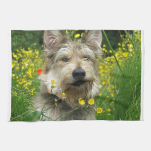 Berger Picard Dog Theedoek