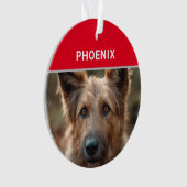 Berger Picard Dog's Naam en Foto Kerstmis Ornament (voorkant)