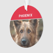 Berger Picard Dog's Naam en Foto Kerstmis Ornament (voorkant)