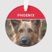Berger Picard Dog's Naam en Foto Kerstmis Ornament (voorkant)