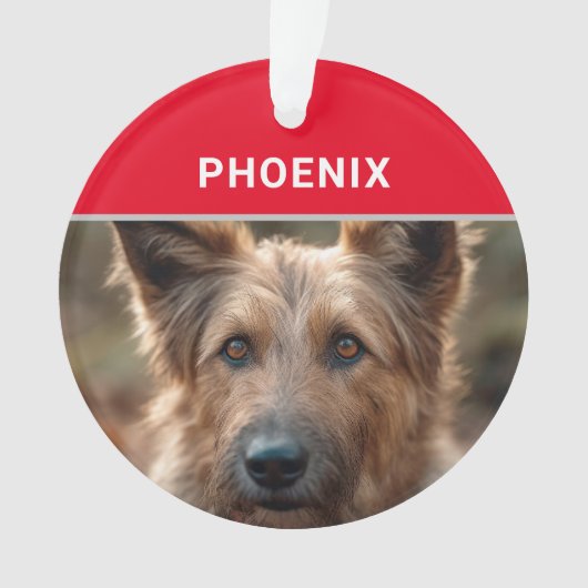 Berger Picard Dog's Naam en Foto Kerstmis Ornament (voorkant)
