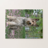 Berger Picard Legpuzzel (Horizontaal)