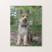 Berger Picard Legpuzzel (Verticaal)