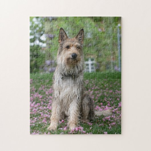 Berger Picard Legpuzzel (Verticaal)