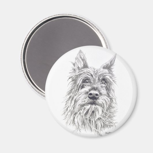 Berger Picard Magnet (Voorkant / Achterkant)