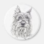 Berger Picard Magnet (Voorkant)