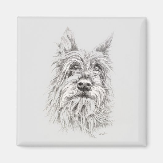 Berger Picard Magnet (Voorkant)