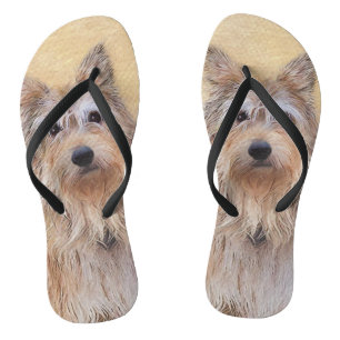 Berger Picard Painting - Cute Original Dog Art Teenslippers
