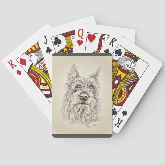 Berger Picard speelkaarten (Achterkant)