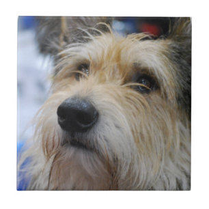 Berger Picard Tile Tegeltje