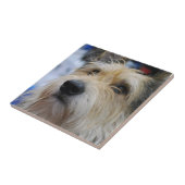 Berger Picard Tile Tegeltje (Zijkant)