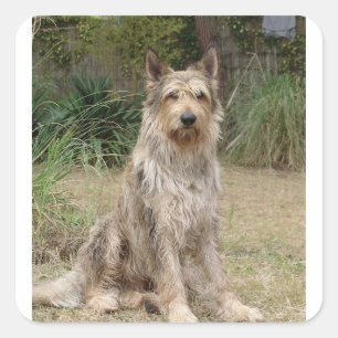 Berger_Picard vergadering 2 Vierkante Sticker