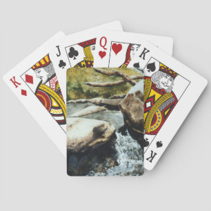 Bergforel stroom mini-herfsten en plungepool pokerkaarten