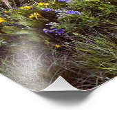 Bergfoto in Colorado Poster (Hoek)
