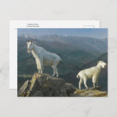 Berggeiten door Albert Bierstadt Briefkaart (Voorkant / Achterkant)