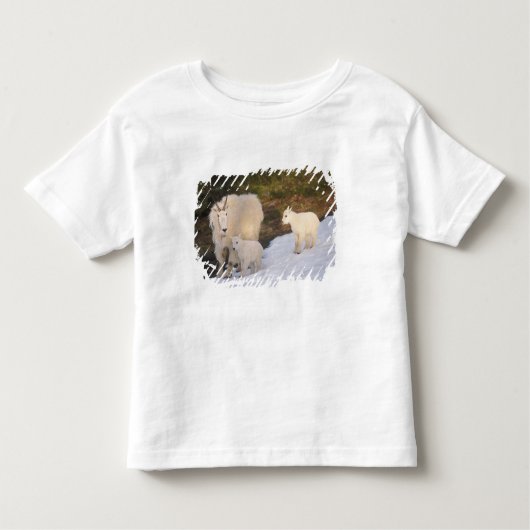 berggeiten kinder shirts (Voorkant)