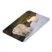 berggeiten magneet (Linkerzijde)