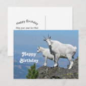 Berggeiten Witte Natuurfoto Verjaardag Briefkaart (Voorkant / Achterkant)