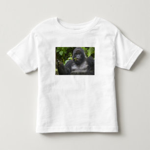 Berggorilla en Zilverruggorilla Kinder Shirts