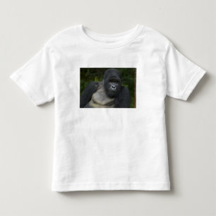Berggorilla en Zilverruggorilla Kinder Shirts