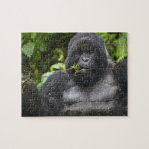 Berggorilla en Zilverruggorilla Legpuzzel