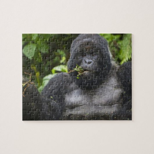 Berggorilla en Zilverruggorilla Legpuzzel (Horizontaal)