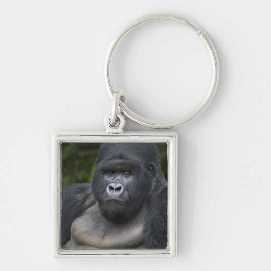 Berggorilla en Zilverruggorilla Sleutelhanger (Voorkant)