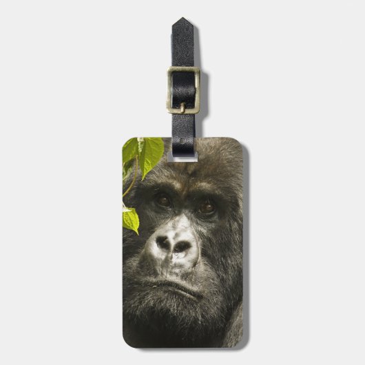 Berggorilla, Gorilla beringei beringei, Bagagelabel (Voorkant verticaal)