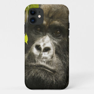 Berggorilla, Gorilla beringei beringei, iPhone 11 Hoesje