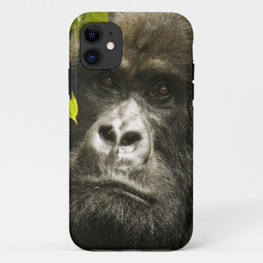 Berggorilla, Gorilla beringei beringei, Case-Mate iPhone Case (Achterkant)