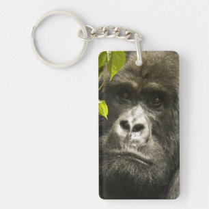 Berggorilla, Gorilla beringei beringei, Sleutelhanger